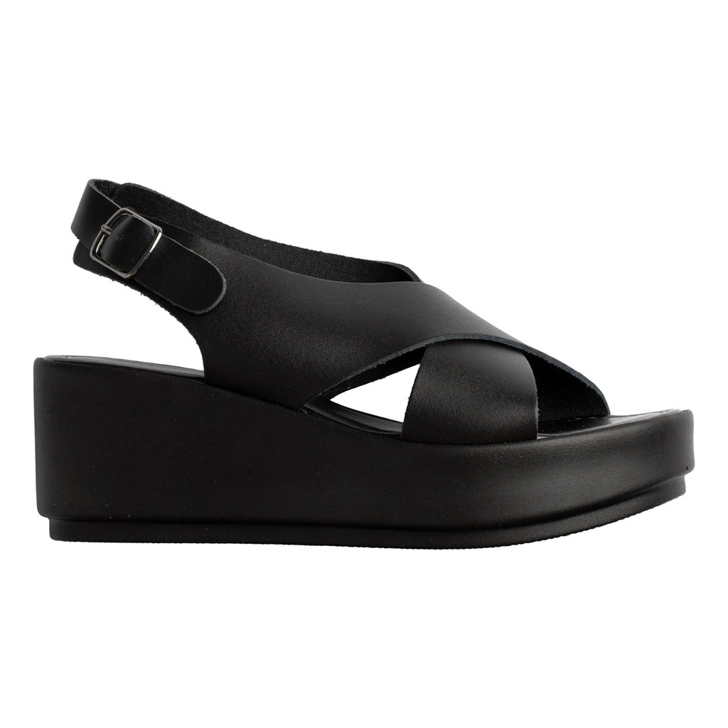 MORBIGEL 109